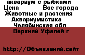 аквариум с рыбками › Цена ­ 1 000 - Все города Животные и растения » Аквариумистика   . Челябинская обл.,Верхний Уфалей г.